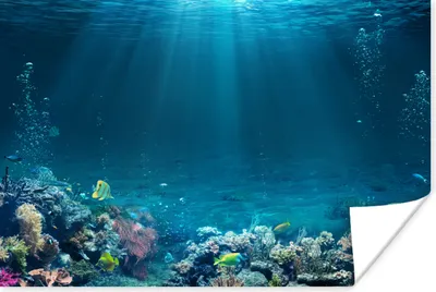 Produktbild von MuchoWow® Poster Ozean - Fische - Korallen 180x120 cm - Fotoplakat