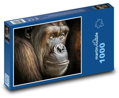 Obrázok produktu pre Puzzle 1000 Portrét majestátnej gorily - martinpuzzle