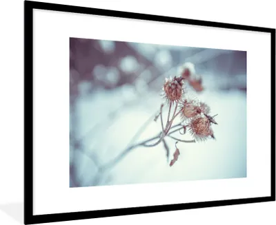 Produktbild von MuchoWow® Gerahmtes Poster Pflanzen - Winter - Schnee - Natur 90x60 cm - Poster mit Schwarzem Bilderrahmen Wandposter Rahmen Foto Bilder - Wanddekoration - Fotos