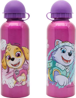 Produktbild von Paw Patrol Skye Everest Kinder Alu Wasserflasche Trinkflasche Flasche 530 ml