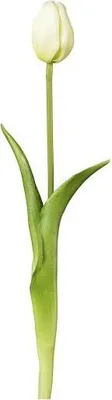 Produktbild von Kunstblume, Seidenblume. Künstliche TULPEN Tulpe 1 Stück Tulpe 44cm weiß