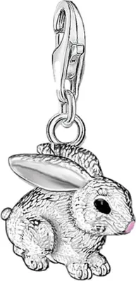 Immagine prodotto di Thomas Sabo - 0819-007-12 - Charm - Donna - Argento 925 - Glam & Soul