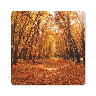 Produktbild von MuchoWow® Mauspad Mousepad Herbst - Wald - Laub - Jahreszeiten 30x30 cm - Mousepads - Maus Mat - Pad - Mausunterlage - Gaming
