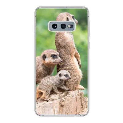Produktbild von MuchoWow® Handyhülle Schutzhülle Hülle für Samsung Galaxy S10e Erdmännchen - Baumstumpf - Jungtier Silikon Softcase Handy Hülle - Handy