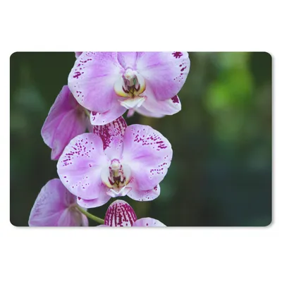 Produktbild von MuchoWow® Schreibtischunterlage Blühende Orchideen 60x40 cm - XXL Mauspad - Großes Mauspad