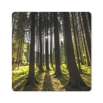 Produktbild von MuchoWow® Mauspad Mousepad Baum - Natur - Sonne - Wald 20x20 cm - Mousepads - Maus Mat - Pad - Mausunterlage - Desk Mat - Bureauartikeln
