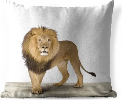 Produktbild von MuchoWow® Outdoor Kissen - Jungen - Löwe - Tiere - Kinder - Mädchen - 40x40 cm - Wetterfest - Lounge Kissen - Kopfkissen - Interieur - Polster mit Bild