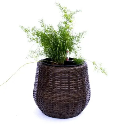 Produktbild von Elegant Einrichten | Pflanzkübel | Polyrattan | rund konisch | D35xH32cm | mocca