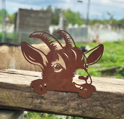 Produktbild von Gartenfigur Ziegen Kopf 25x30cm für Kante Kantenfigur Edelrost Gartendeko Wetterfest Rost Metall Rostfigur Tier Ziege Zicklein Ziegenbock Kantensitzer