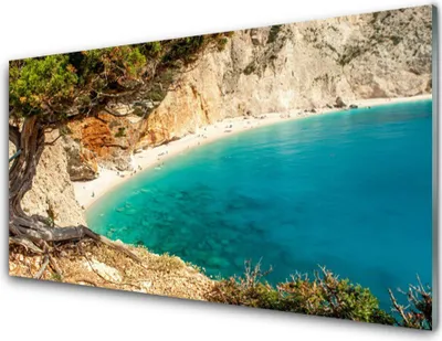 Produktbild von Acrylglasbilder 100x50 Wandbild Druck Bucht Baum Landschaft