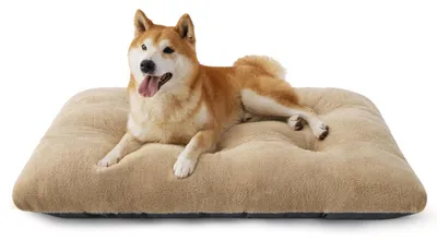 Produktbild von Hundebett Waschbar Kamel Größe L 89x58x8cm