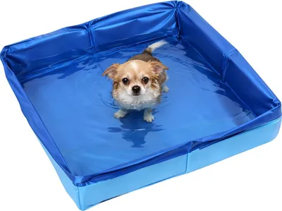 Produktbild von Hundeplanschbecken 50 x 50 x 10 cm, blau, quadratisch, PVC, für kleine Hunde