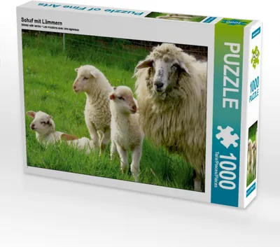 Produktbild von Calvendo Schaf mit Lämmern 1000 Teile Puzzle quer 640x480mm, N N; 7450550