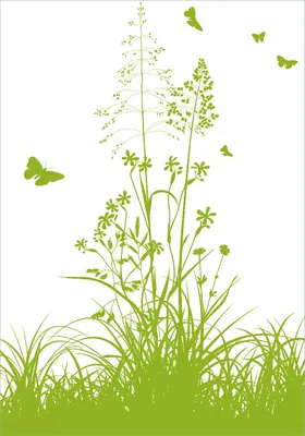 Produktbild von Wallario Poster - Grüne Sommerwiese, Kunstdruck Größe: 70 x 100 cm