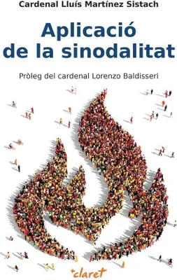 Produktbild von Aplicació de la sinodalitat