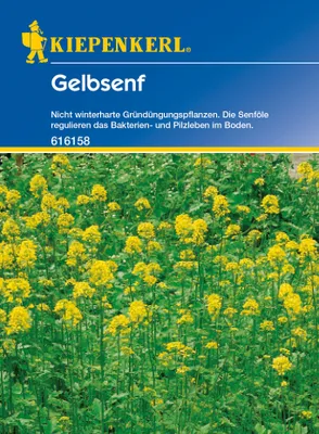 Produktbild von KIEPENKERL Gründünger Gelbsenf 80g