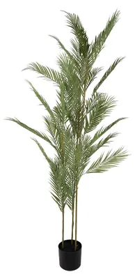 Obrázek produktu pro Clayre & Eef umělá rostlina 25x25x180 cm zelený plast