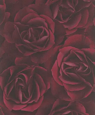 Produktbild von Rosen Vliestapete Rasch Crispy Paper 525625 Rot