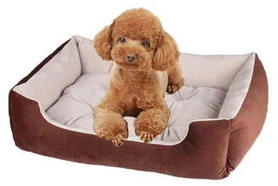 Immagine prodotto di Cuccia per cani, rettangolare, con rivestimento removibile e lavabile, antiscivolo. Colore: marrone. Dimensioni: 60 x 42 x 14 cm