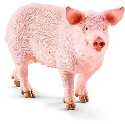 Produktbild von Schleich Pig Figur   Kinder  One Size
