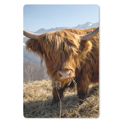 Produktbild von MuchoWow® Mauspad Mousepad Schottischer Highlander - Berg - Schnee 40x60 cm - Mousepads - Maus Mat - Pad - Mausunterlage - Schreibtisch Accesoire