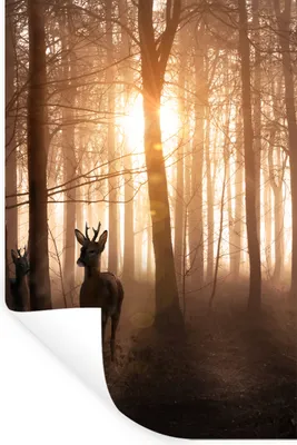 Produktbild von MuchoWow® Wandtattoo Wandsticker Wandaufkleber Wald - Hirsche - Sonne - Bäume - Winter - Natur - Tiere 60x90 cm Selbstklebend und Repositionierbar - Sticker - Dekorfolie
