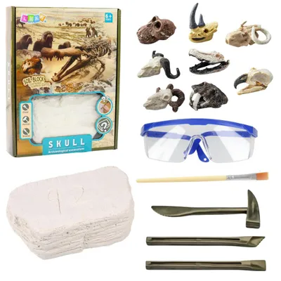 Produktbild von Archäologisches Ausgrabungsset: Schädel, Knochen, Werkzeuge, Zubehör