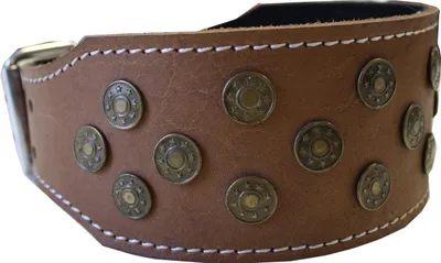 Produktbild von Hundehalsband aus echtem Leder 45-54cm in braun