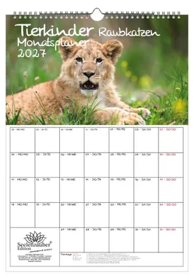 Produktbild von Tierkinder Raubkatzen Planer DIN A3 Kalender für 2027 Raubkatzen - Geschenkset Inhalt: 1x Kalender 1x Weihnachtsanhänger 1x Grußanhänger (gesamt 3 Teile)