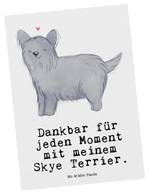 Produktbild von Mr. & Mrs. Panda Postkarte Skye Terrier Moment - Weiß - Geschenk, Fotokarte, Ansichtskarten, Grußkarte, Postkarten, Ansichtskarte