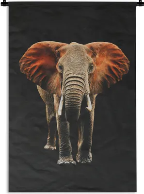 Produktbild von MuchoWow® Wandteppich Wandbehang Elefant - Schwarz - Orange 120x180 cm Tapisserie Dekoration Wandtuch - Schlafzimmer - Dekorationen für das Haus