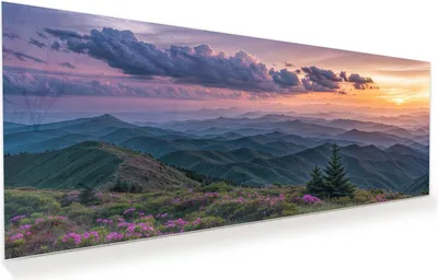 Produktbild von Glasbild 125x50cm in XXL für Wohnzimmer, Schlafzimmer Motiv Berglandschaft Blumen