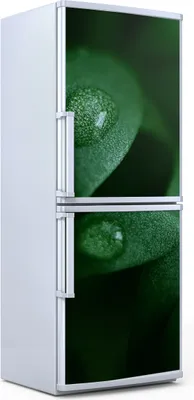 Produktbild von Kühlschrankdekoration 70x180 cm Aufkleber auf dem Kühlschrank - mikrogrüne Blätter
