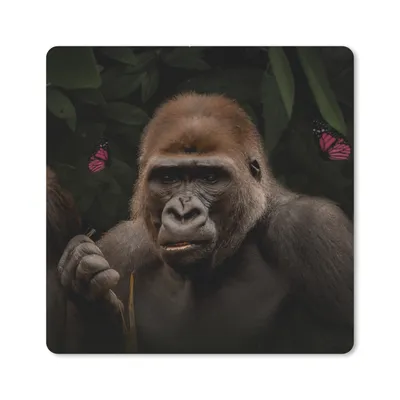Produktbild von MuchoWow® Mauspad Mousepad Schmetterlinge - Affe - Dschungel 20x20 cm - Mousepads - Maus Mat - Pad - Mausunterlage - Desk Mat - Bureauartikeln