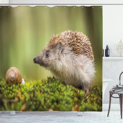 Produktbild von ABAKUHAUS Igel Duschvorhang, Niedliche Profesionelle Tierfotografie Schnecke mit Igel Spitzen Szenen Natur Foto, 175 x 180 cm, Grün Braun