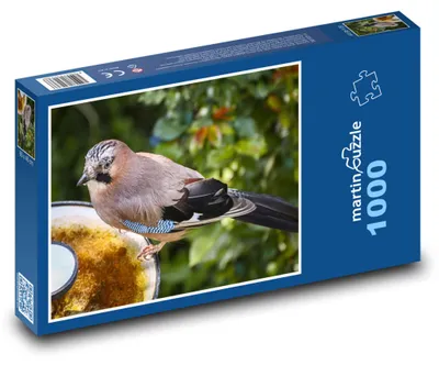 Obrázok produktu pre martinpuzzle - Puzzle 1000 - Sójka - vták