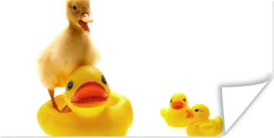 Produktbild von MuchoWow® Poster Baby-Ente in der Badewanne 120x60 cm - Bild