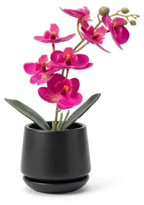 Produktbild von G.blümt Künstliche Orchidee Phalaenopsis im Topf, kleine Kunstpflanze Schmetterlingsorchidee wie echt Pink, schwarzerTopf