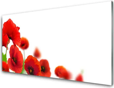 Imagen del producto de Panel de vidrio para cocina, 100x50 cm, protector contra salpicaduras, diseño de amapolas y plantas