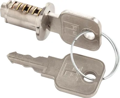 A lock cylinder and two keys are shown against a white background.