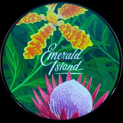 Obrázek produktu pro Caro Emerald: (Picture Disc) - - (Vinyl / Rock (Vinyl))