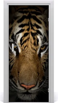 Produktbild von Tulup Türaufkleber 85x205 cm Dekorative Aufkleber Selbstklebend Wasserdichte Tapete Abnehmbar Schlafzimmer Wohnzimmer Wohnkultur - Tiger-Wand