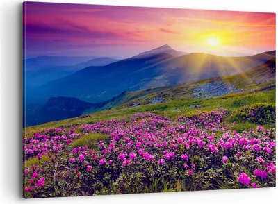 Produktbild von Bild auf Leinwand - Leinwandbild - Wiese Berge Landschaft - 100x70cm - Wand Bild - Wanddeko - Leinwanddruck - Bilder - Kunstdruck - Wanddekoration - Leinwand bilder - Wandkunst - AA100x70-2676