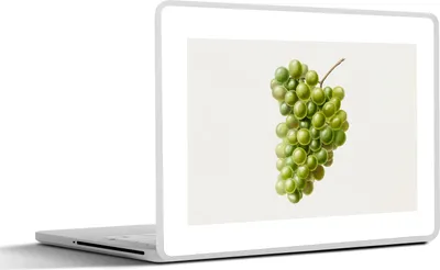 Produktbild von MuchoWow® Laptop Aufkleber Sticker Cover Lebensmittel - Weintrauben - Obst 31x22.5 cm - Laptop-Deko