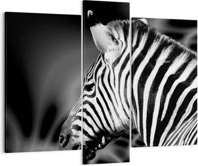 Produktbild von Bild auf Leinwand - Leinwandbild - Tier Zebra Streifen - 95x80cm - Wand Bild - Wanddeko - Wandbilder - Leinwanddruck - Bilder - Kunstdruck - Wanddekoration - Leinwand bilder - Wandkunst - CB95x80-0300