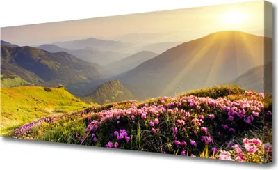 Produktbild von Tulup Leinwand-Bilder 125x50 Wandbild Canvas Kunstdruck Gebirge Wiese Landschaft