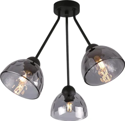 Immagine prodotto di Lampada da soffitto Venice Trio con paralumi in vetro color grafite E27