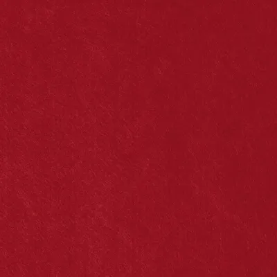 Zdjęcie produktu dla 6XKNORR prandell 218441716 P.filz30x45cm d.rt