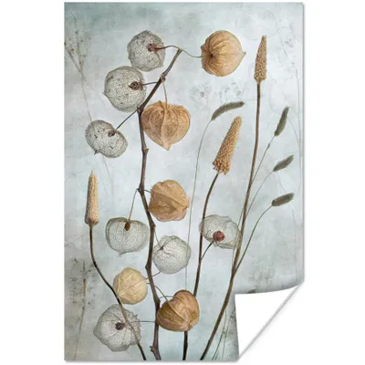 Produktbild von MuchoWow® Poster Stillleben - Natur - Herbst - Trockenblumen 60x90 cm - Wanddekoration