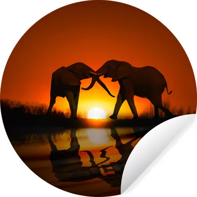 Produktbild von MuchoWow® Runde Wandtattoo - Wandsticker Tapete Aufkleber Elefant - Sonne - Afrika Ø 30 cm Selbstklebend und Repositionierbar - Wandaufkleber - Kreis - Wandbild - Fototapete - Selbstklebend - Dekoration - Wandschmuck - Schlafzimmer